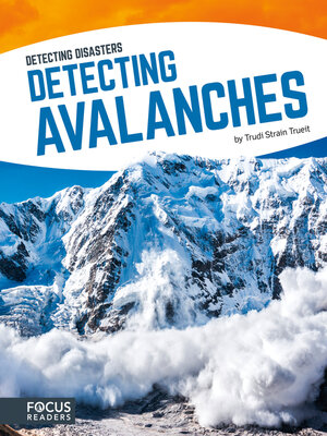 cover image of Detecting Avalanches